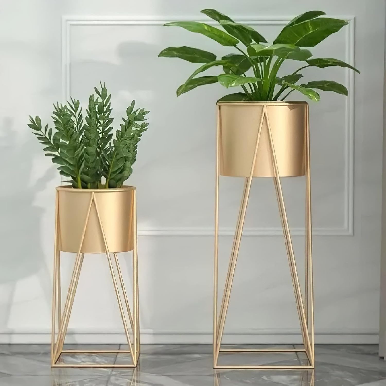 Plants Stand